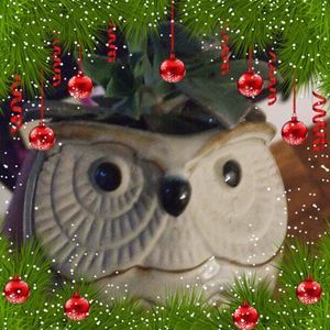 Meet your Posher, Vicky